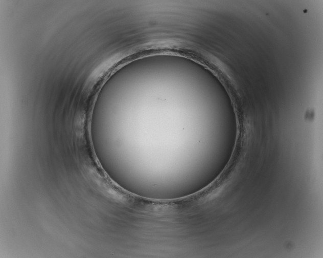 X0000113040778200908271505