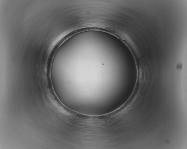 X0000113040780200908271505