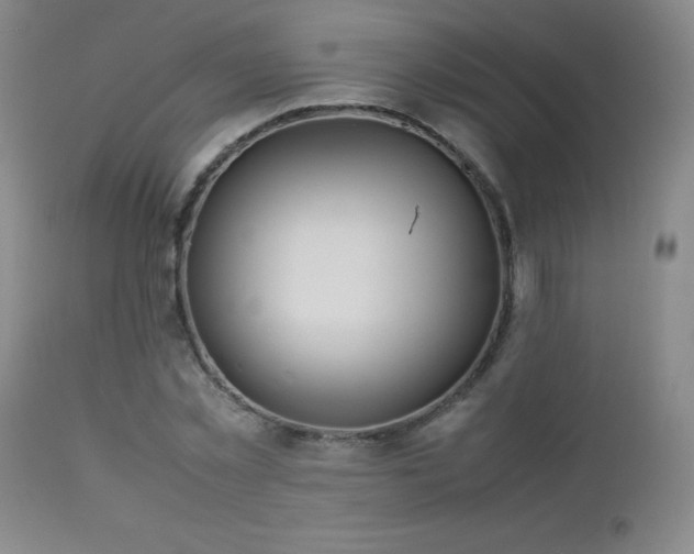 X0000113040781200908271504
