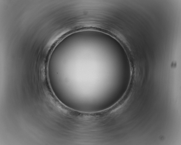 X0000113040782200908271504