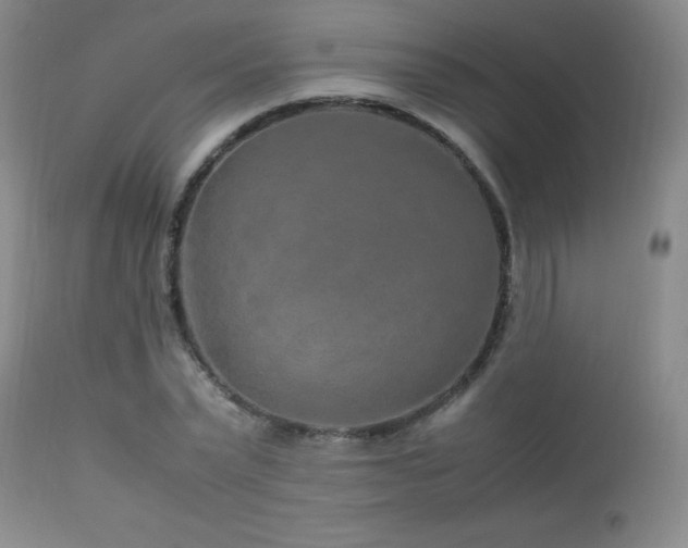 X0000113040783200908271504