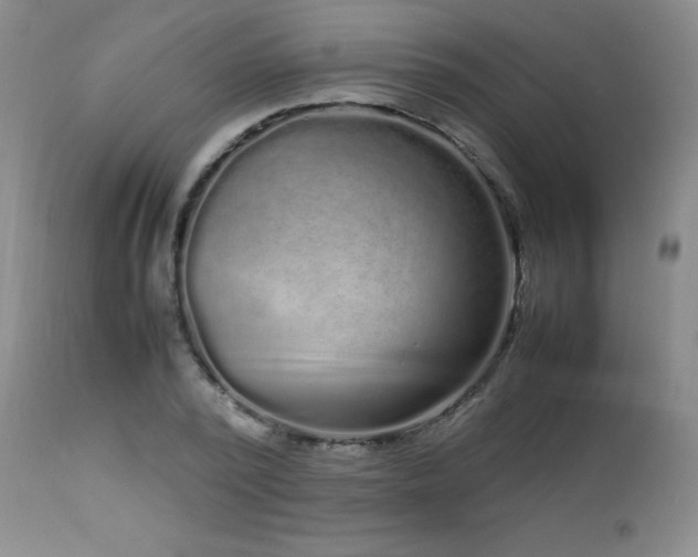 X0000113040784200908271504
