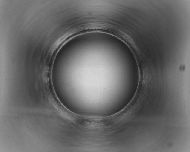 X0000113040786200908271504