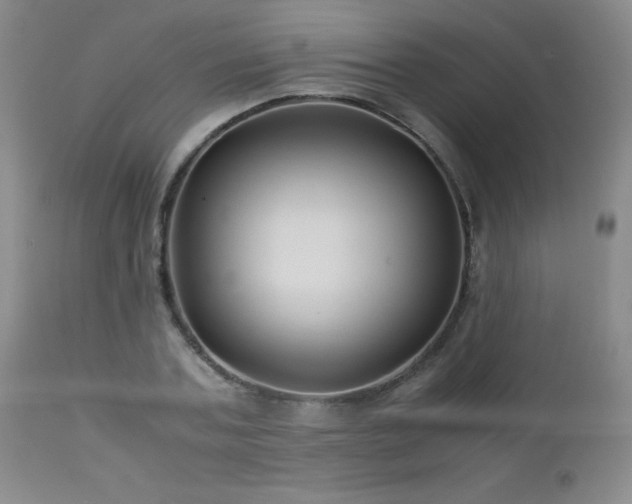 X0000113040787200908271504
