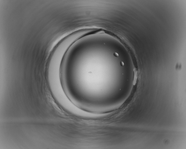 X0000113040789200908271504