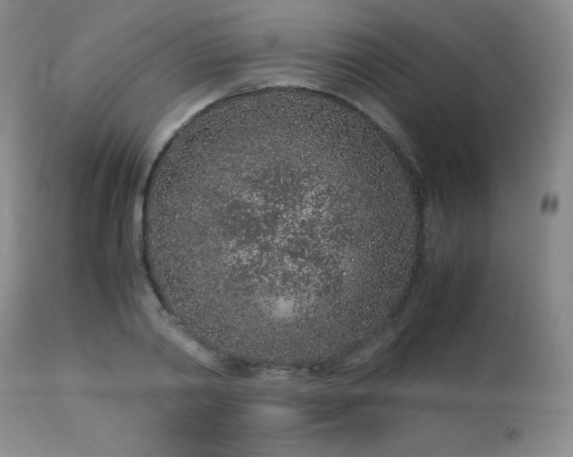 X0000113040790200908271504
