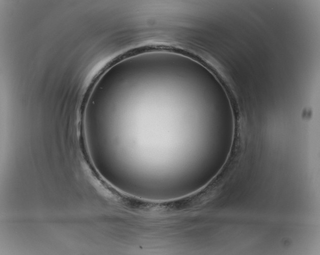 X0000113040791200908271504