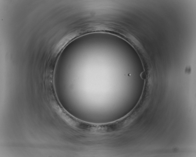 X0000113040793200908271504