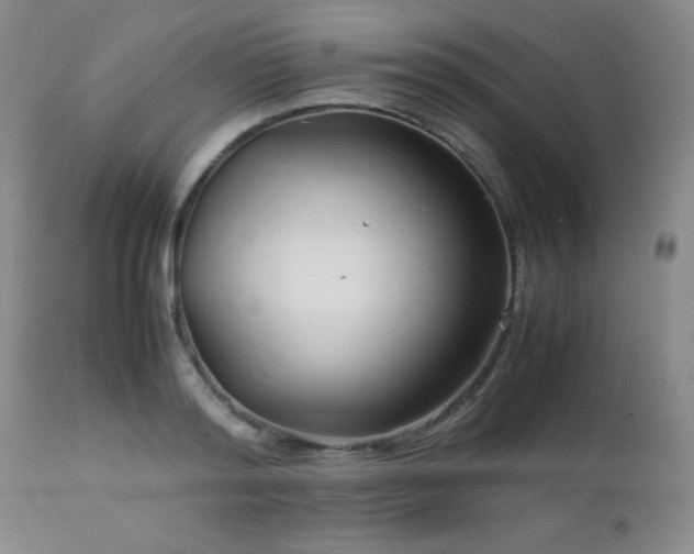 X0000113040796200908271504