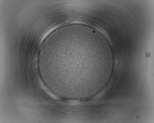 X0000113040798200908271504