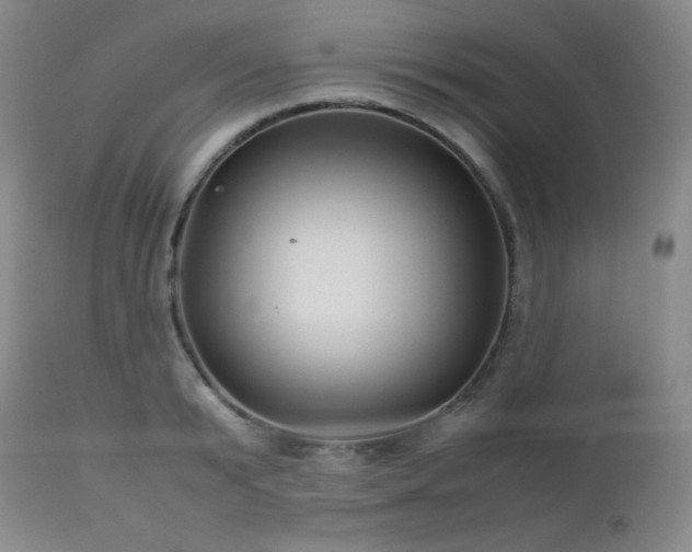 X0000113040799200908271504