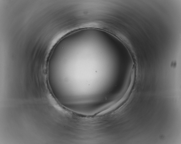 X0000113040800200908271504