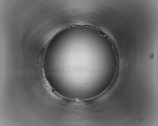 X0000113040801200908271504
