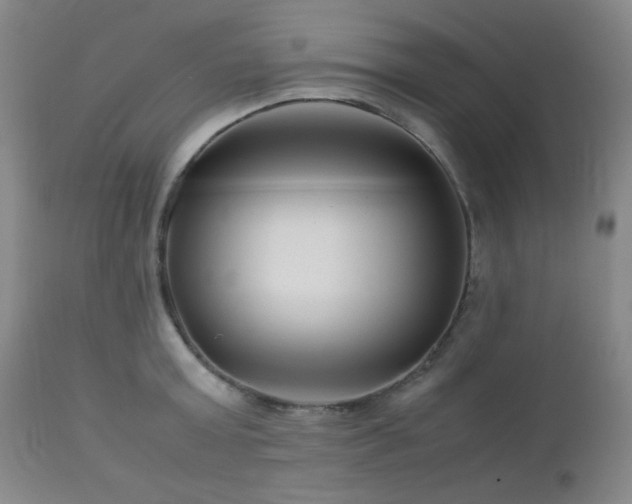 X0000113040803200908271504