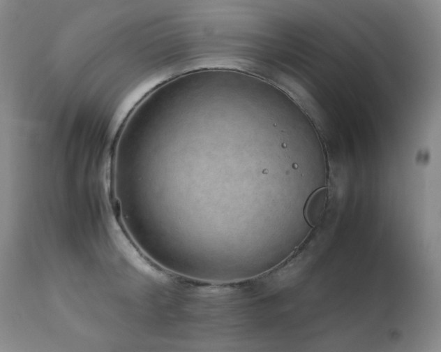 X0000113040804200908271504