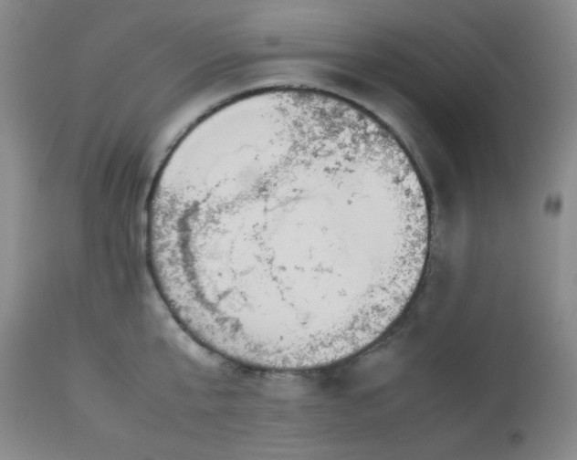 X0000113040807200908271504
