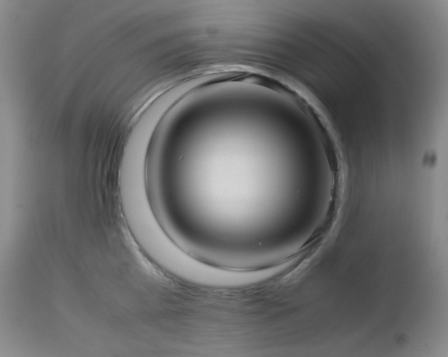 X0000113040809200908271504