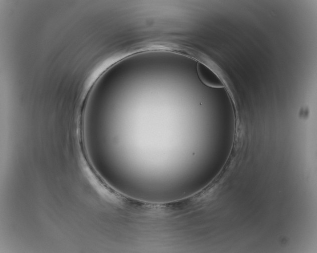 X0000113040811200908271504