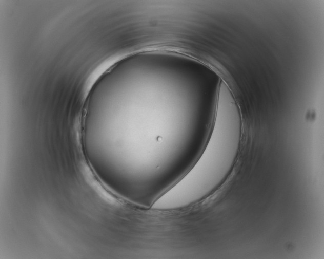 X0000113040812200908271504