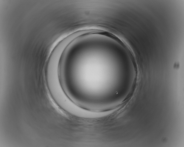 X0000113040813200908271504