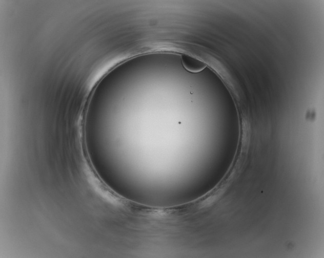 X0000113040814200908271504