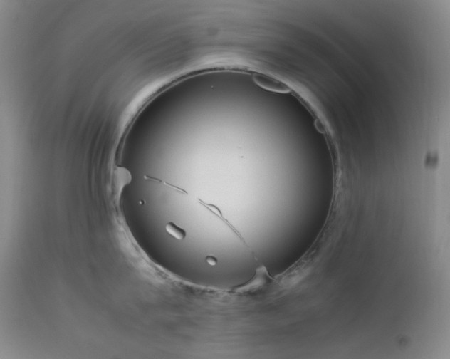 X0000113040815200908271504