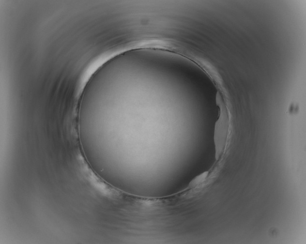 X0000113040816200908271504