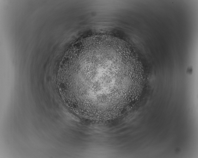 X0000113040817200908271503