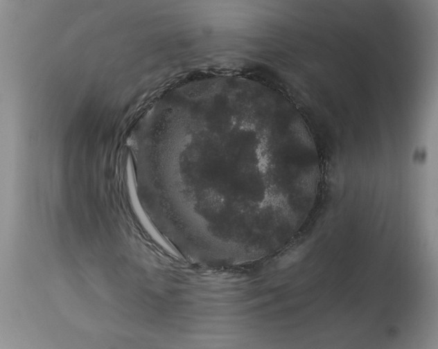 X0000113040818200908271503