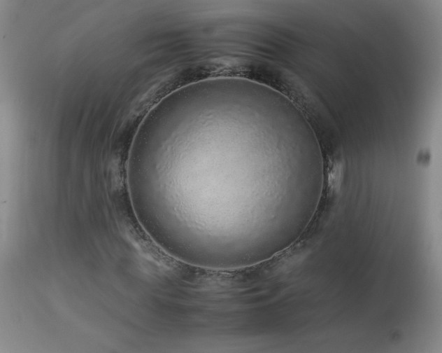 X0000113040819200908271503