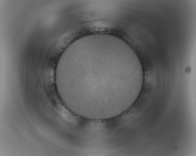 X0000113040820200908271503