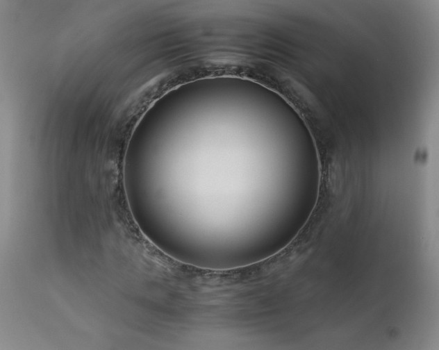 X0000113040821200908271503