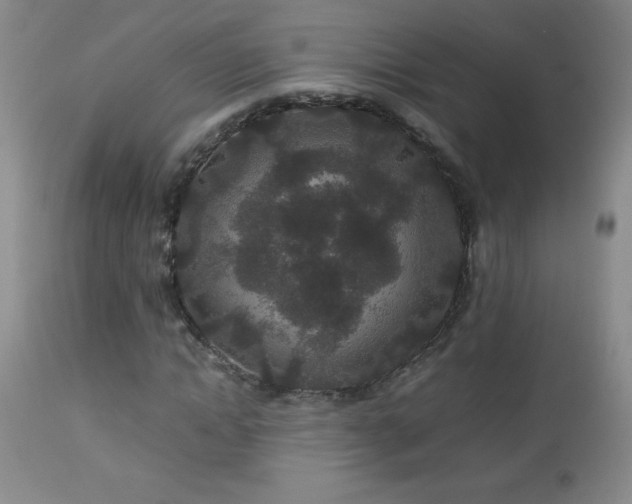 X0000113040822200908271503