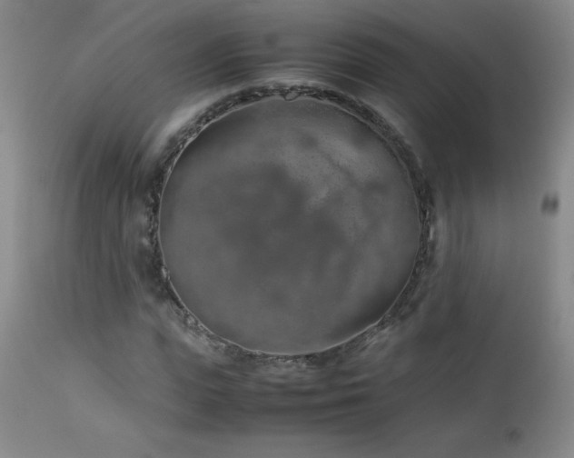 X0000113040823200908271503