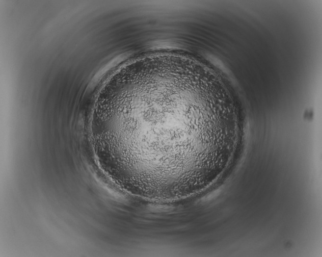 X0000113040825200908271503