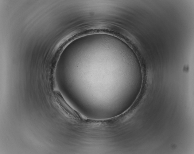 X0000113040826200908271503