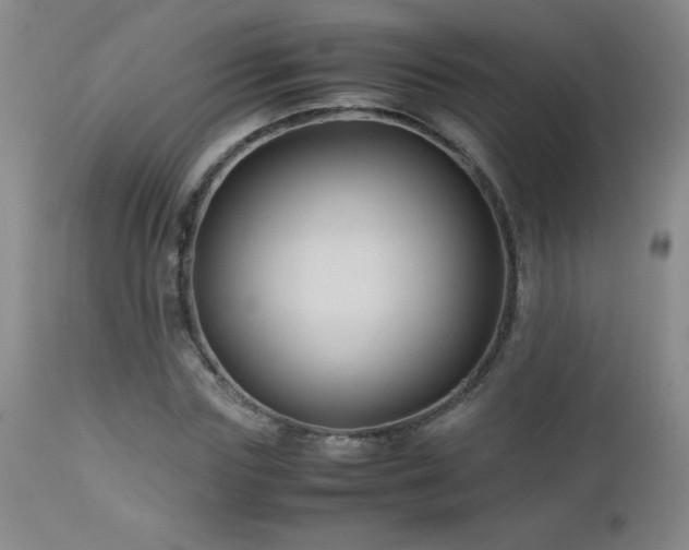 X0000113040827200908271503