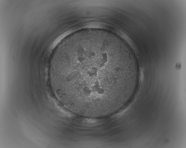 X0000113040829200908271503