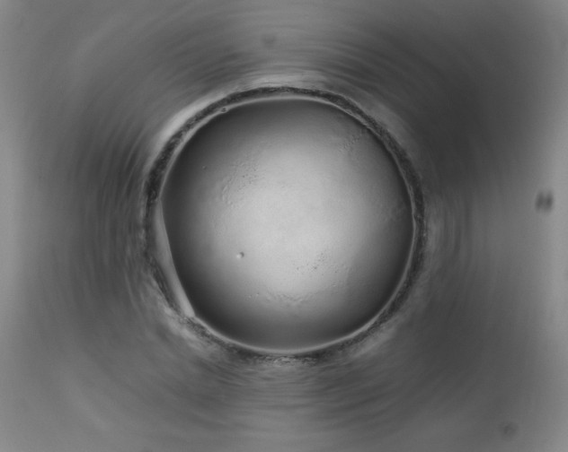 X0000113040830200908271503