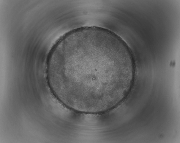 X0000113040832200908271503