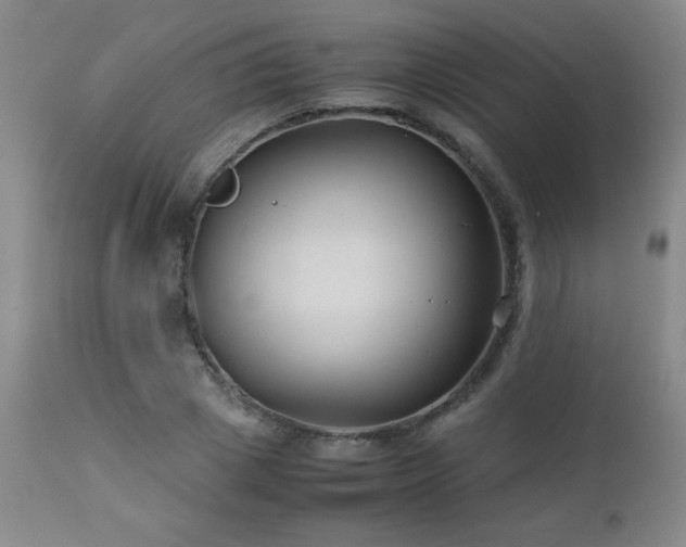 X0000113040833200908271503
