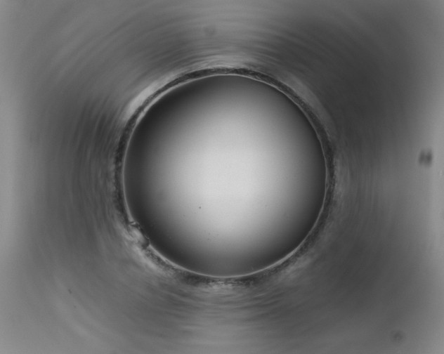 X0000113040834200908271503