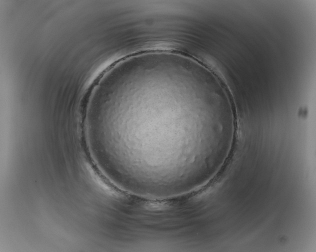 X0000113040835200908271503