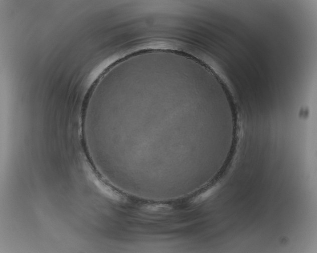 X0000113040837200908271503