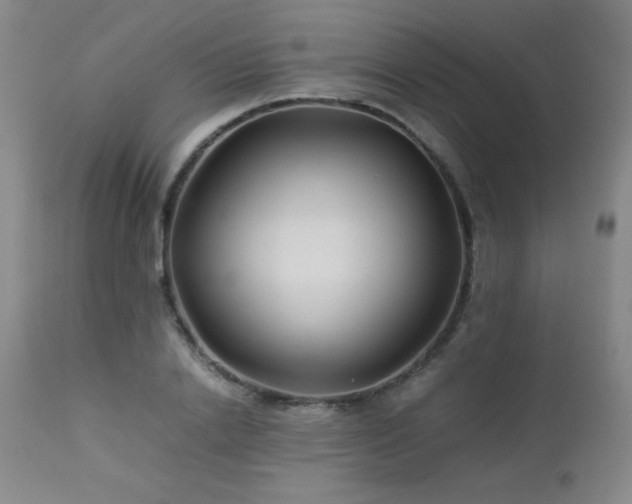 X0000113040838200908271503