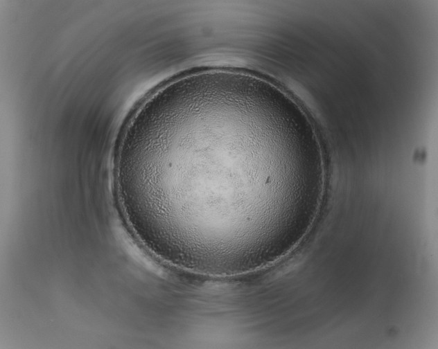 X0000113040840200908271503