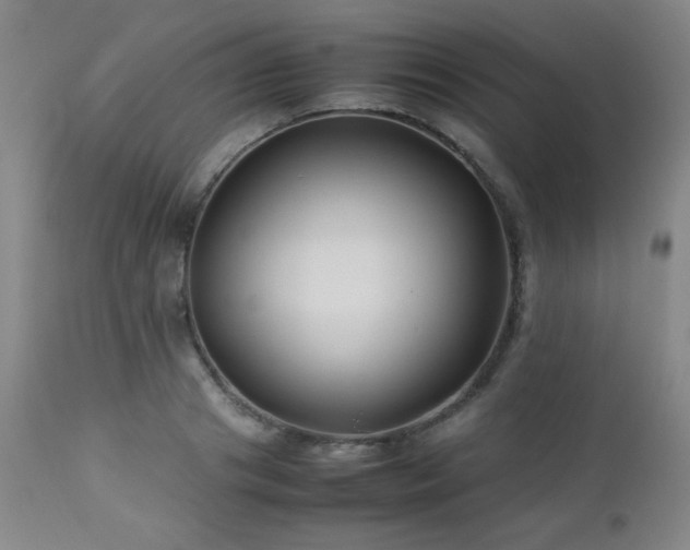 X0000113040841200908271503