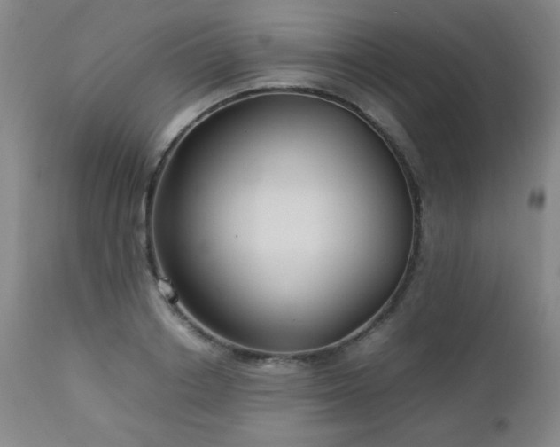 X0000113040842200908271503