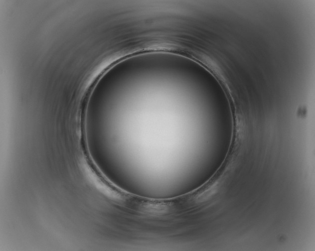 X0000113040843200908271503
