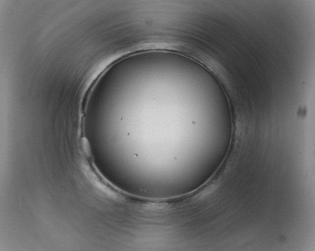 X0000113040844200908271503